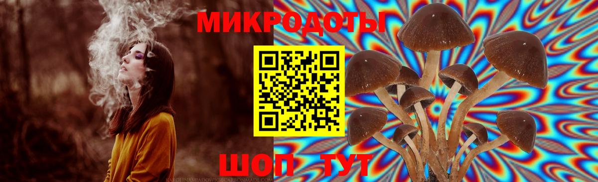 Галлюциногенные грибы Magic Shrooms Долгопрудный