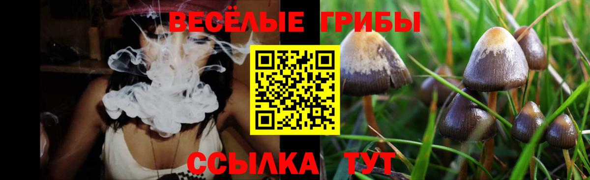 Долгопрудный  Галлюциногенные грибы Cubensis  Псилоцибиновые грибы Cubensis  Вход с VPN 